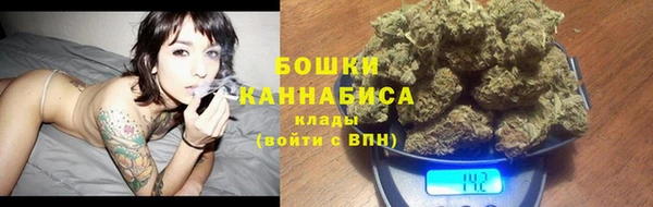 PSILOCYBIN Богородицк