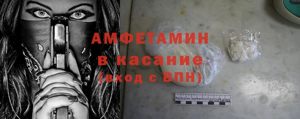 гидра Богородск