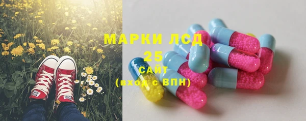 гашик Бородино