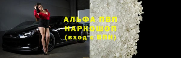 гашик Бородино
