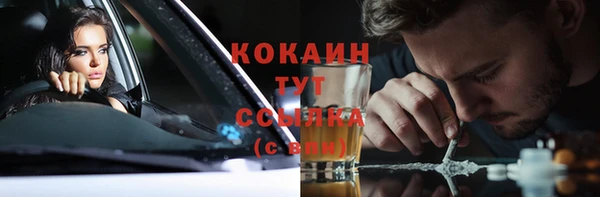 спайс Богданович