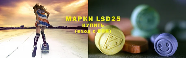 гашик Бородино