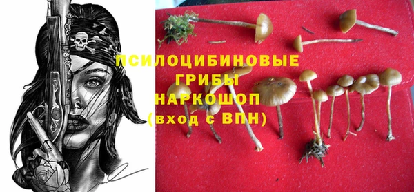 скорость Бронницы
