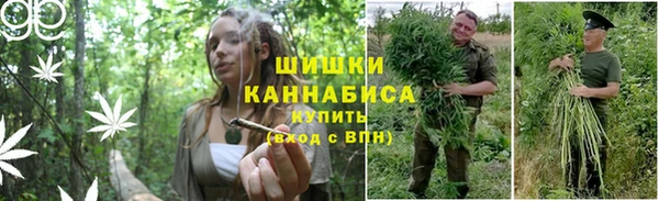 гидра Богородск
